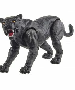 Dungeons Dragons Dungeons & Dragons Forgotten Realms Drizzt & Guenhwyvar (Hasbro Pulse Exclusive)