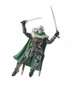 Dungeons Dragons Dungeons & Dragons Forgotten Realms Drizzt & Guenhwyvar (Hasbro Pulse Exclusive)