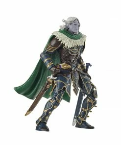 Dungeons Dragons Dungeons & Dragons Forgotten Realms Drizzt & Guenhwyvar (Hasbro Pulse Exclusive)