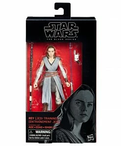 Star Wars The Black Series Rey (Jedi Training) Figure