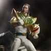 Power Rangers Lightning Collection Mighty Morphin Lord Drakkon Figure