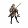 Star Wars The Black Series Luke Skywalker (Endor) Figure