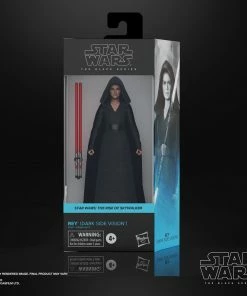Star Wars The Black Series Rey (Dark Side Vision) Action Figure